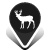 Buck from Sit