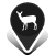 Deer from Sit
